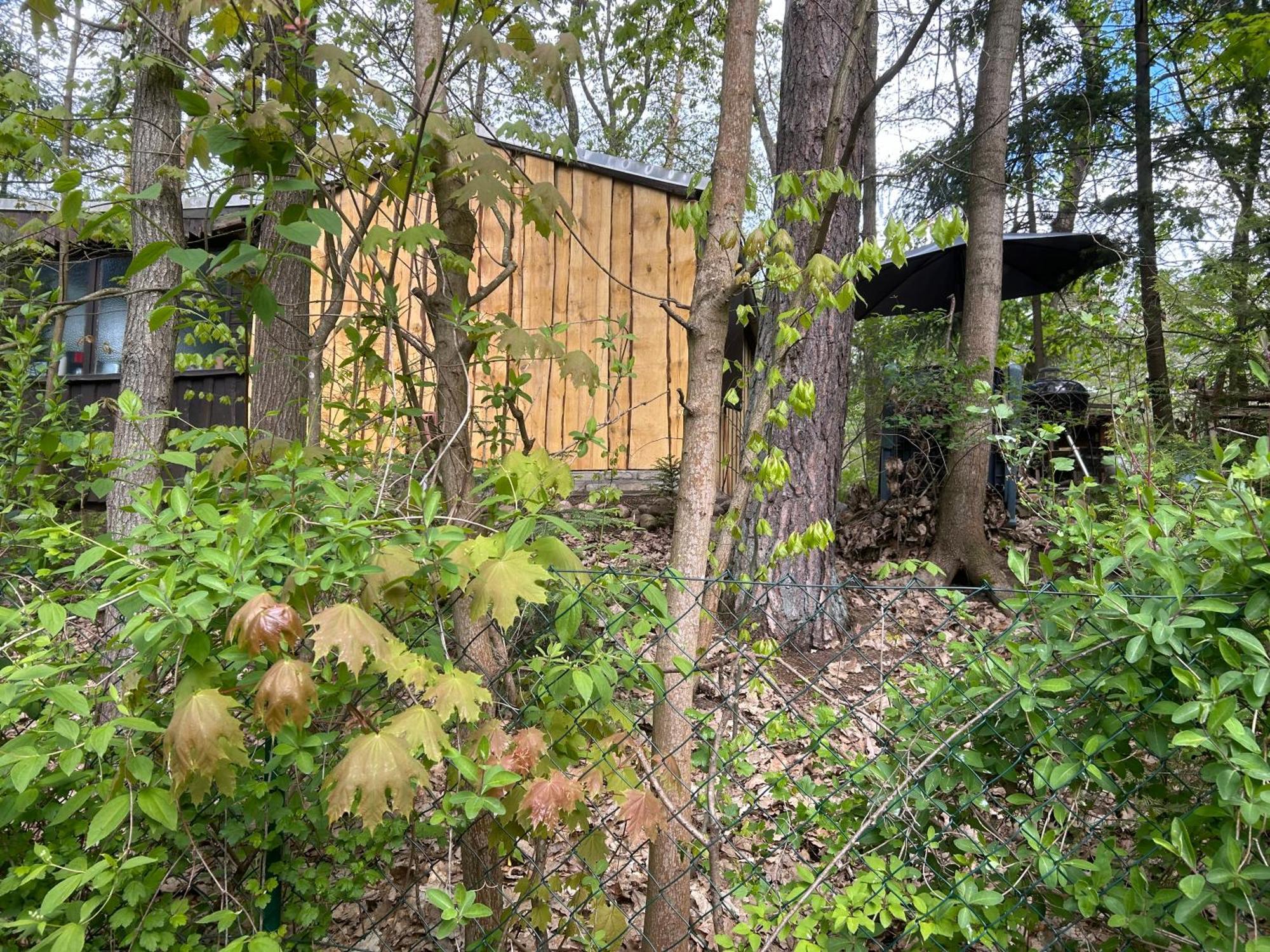 Bungalow Biberspur Zieko Exterior foto
